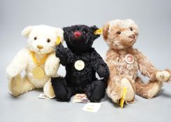 A Steiff Teddy Rolo Plan, 30cm, box and certificate, White label, with Steiff Yellow tag Millenium