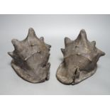 A pair of spelter conch shells, 24cm