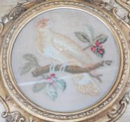 A pair of 19th century giltwood framed circular needleworks of parrots, 26cm diameter excl frame