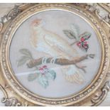 A pair of 19th century giltwood framed circular needleworks of parrots, 26cm diameter excl frame