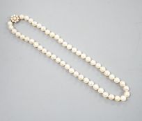 A single strand cultured pearl necklace, with 9ct and cultured pearl cluster set clasp, 43cm.