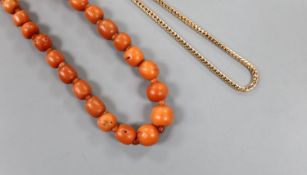 A group of graduated Egyptian coral beads, now strung on a later yellow metal necklace, 62cm,gross