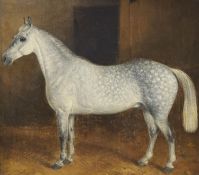 Late 19th century English School, oil on canvas, Dapple grey horse in a stable, 25 x 28cm