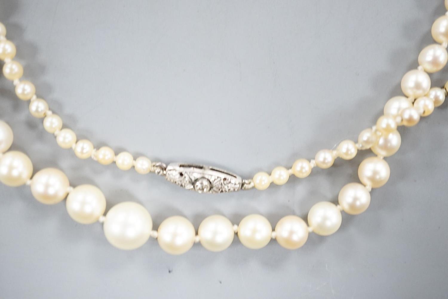 An early 20th century single strand graduated pearl necklace(not tested for natural or cultured), - Image 2 of 3