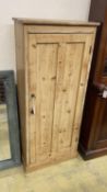 A Victorian narrow pine cabinet, width 66cm, depth 32cm, height 152cm