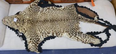 A taxidermy leopard skin rug, complete with head, nose to tail 160cm