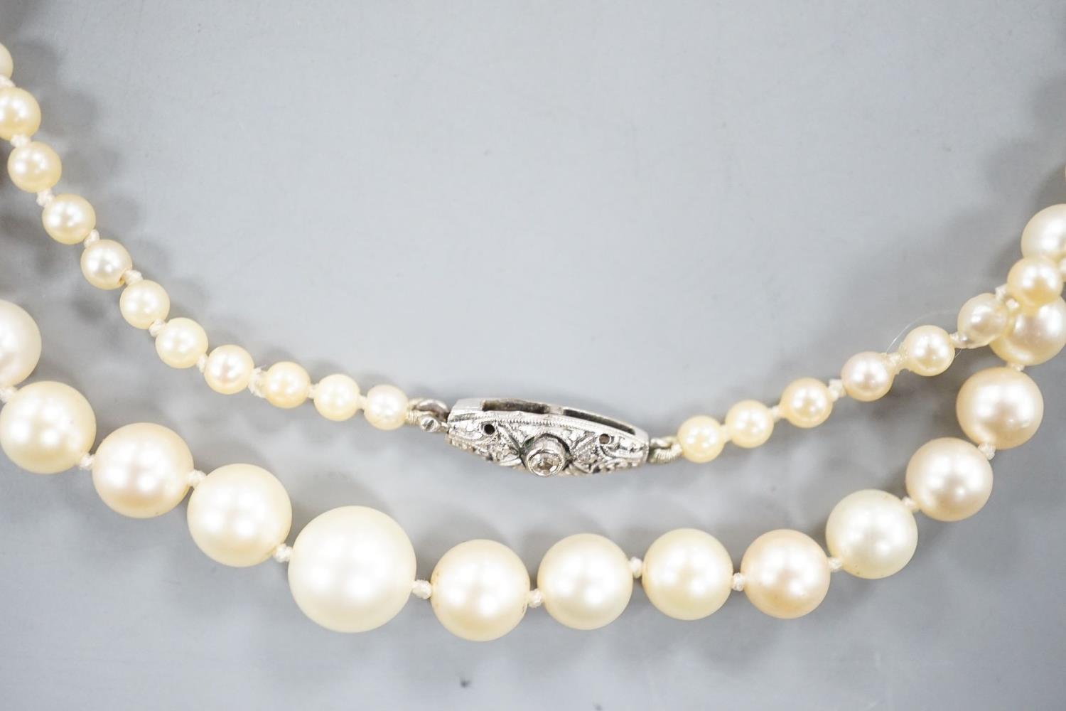 An early 20th century single strand graduated pearl necklace(not tested for natural or cultured), - Image 3 of 3
