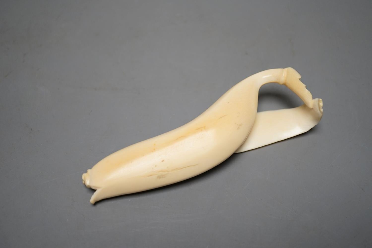 A Japanese ivory model of a banana, Meiji period 12cm - Image 5 of 5