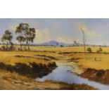 Stephen Franks (1942-2002), oil on board, South African landscape, signed, 61 x 91cm, unframed