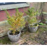 A pair of reconstituted stone circular garden tubs, diameter 50cm