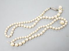 A single strand graduated cultured pearl necklace, 48cm string a.f.