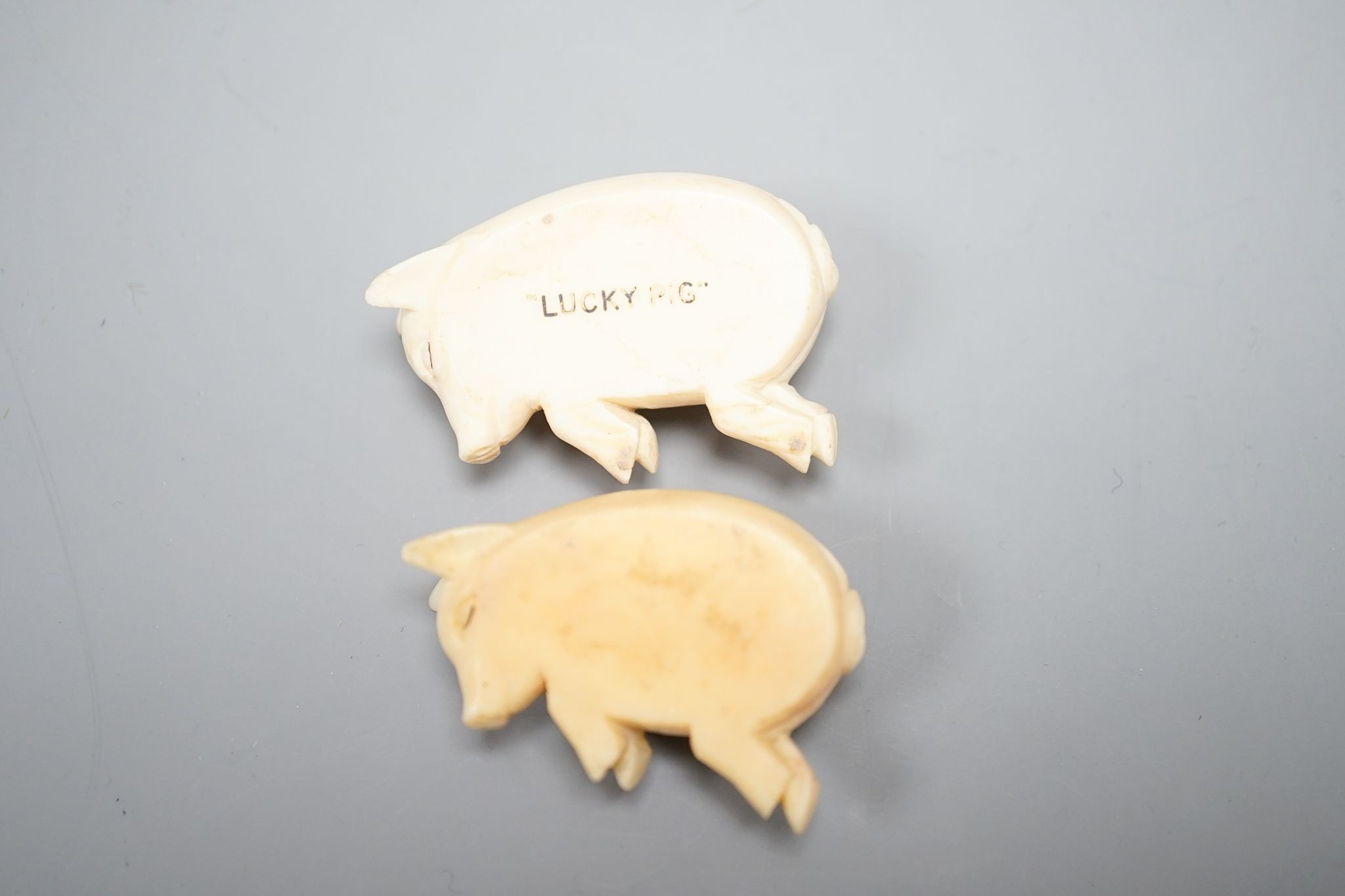 Two ivory sleeping pigs.5 cms wide - Image 4 of 4