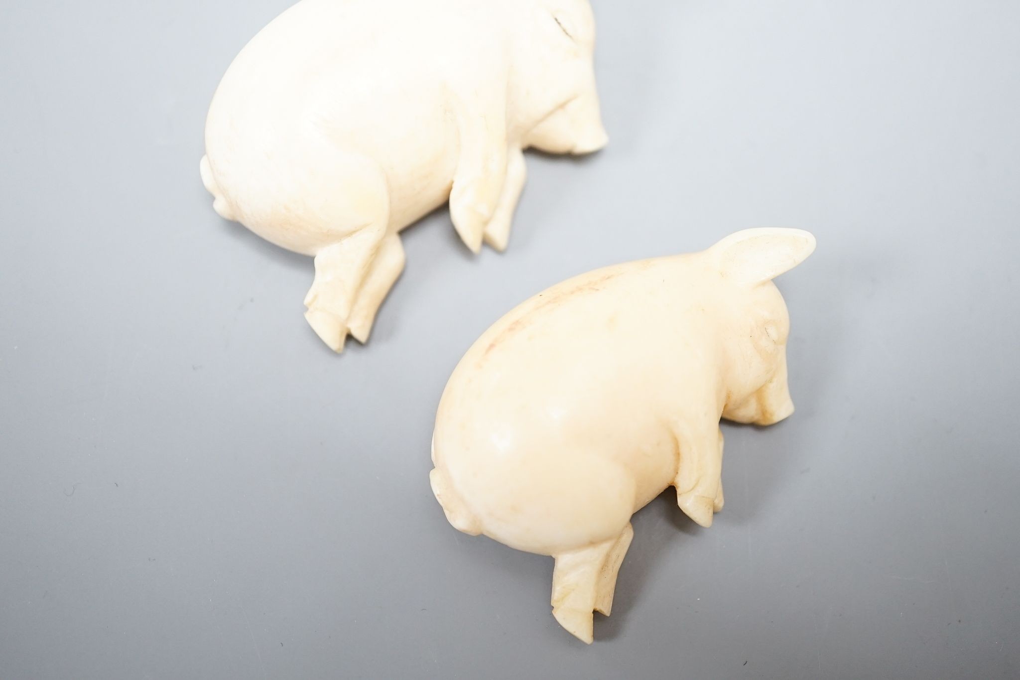 Two ivory sleeping pigs.5 cms wide - Image 3 of 4