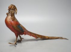 A cold painted bronze golden pheasant in style of Bergman 37cm