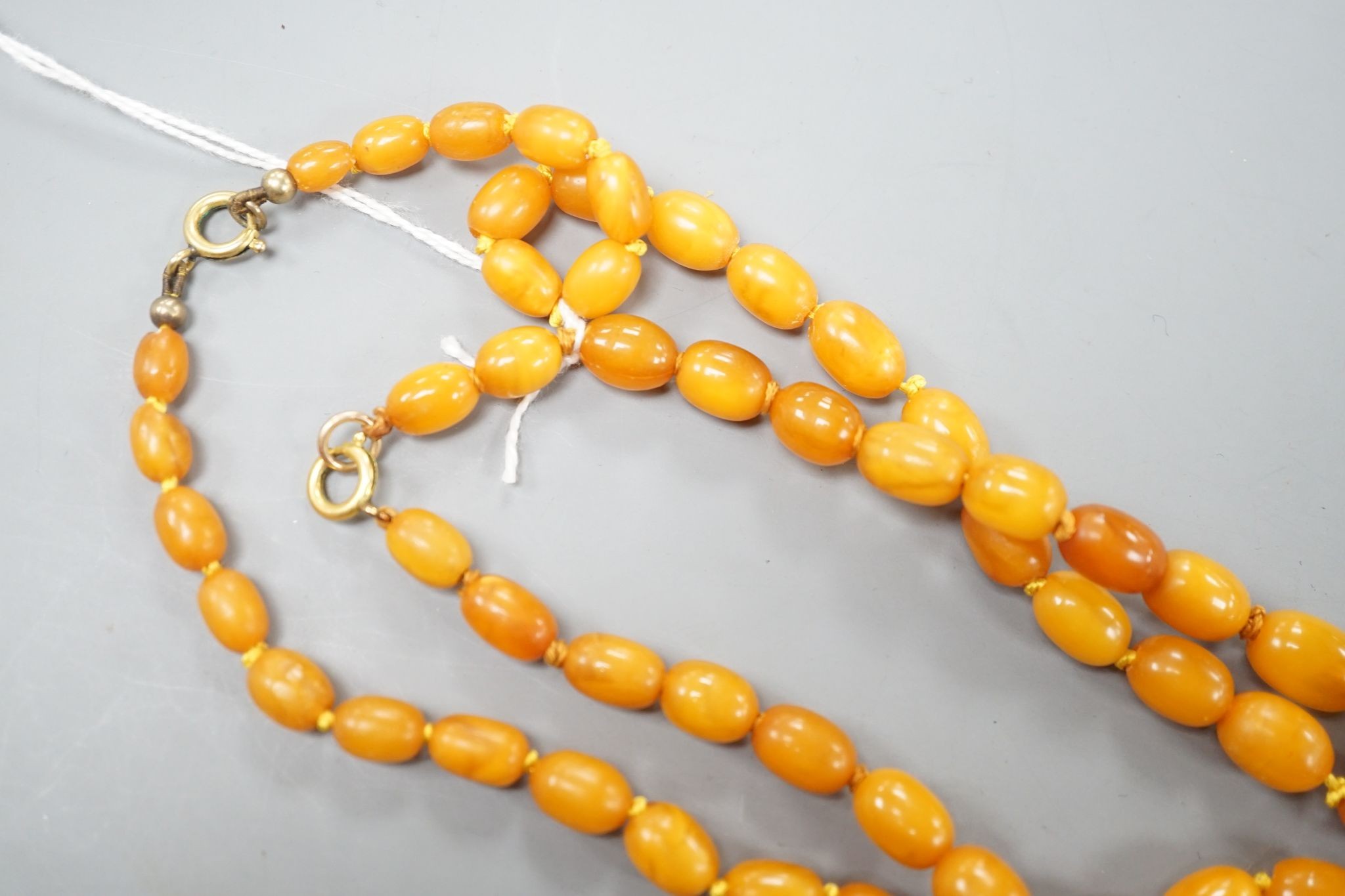 Two single strand graduated oval amber bead necklace, longest 70cm, gross weight 72 grams. - Image 3 of 5