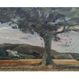 Archer, oil on board, Windswept view of the Downs, signed, 37 x 46cm