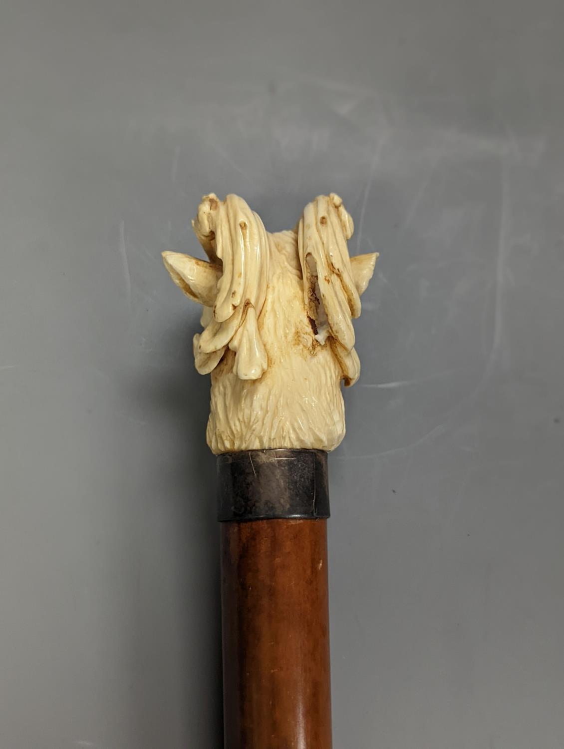 A late 19th century carved ivory ‘ram's head’ handled walking cane 89cm - Image 5 of 5