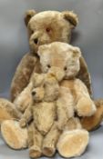 A large English teddy bear and two other teddy bears