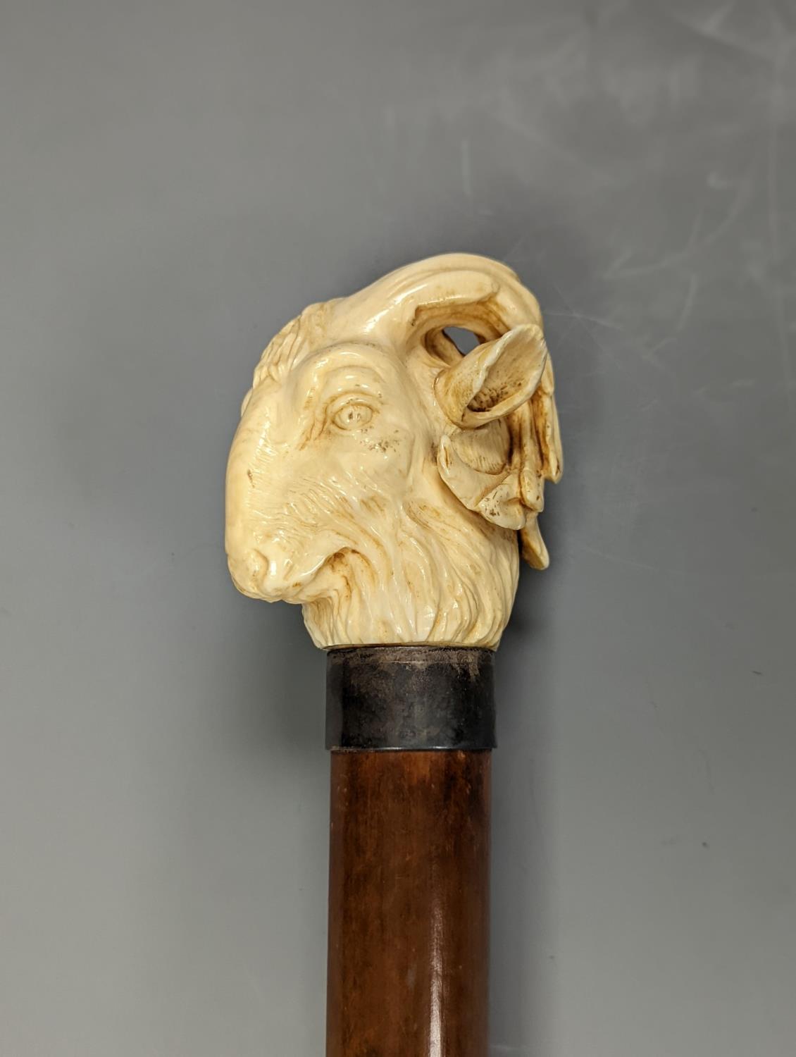 A late 19th century carved ivory ‘ram's head’ handled walking cane 89cm - Image 2 of 5