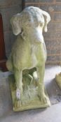 A reconstituted stone seated hound garden ornament, height 72cm