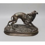 After Mene, a bronze figure of a whippet,31cms wide.