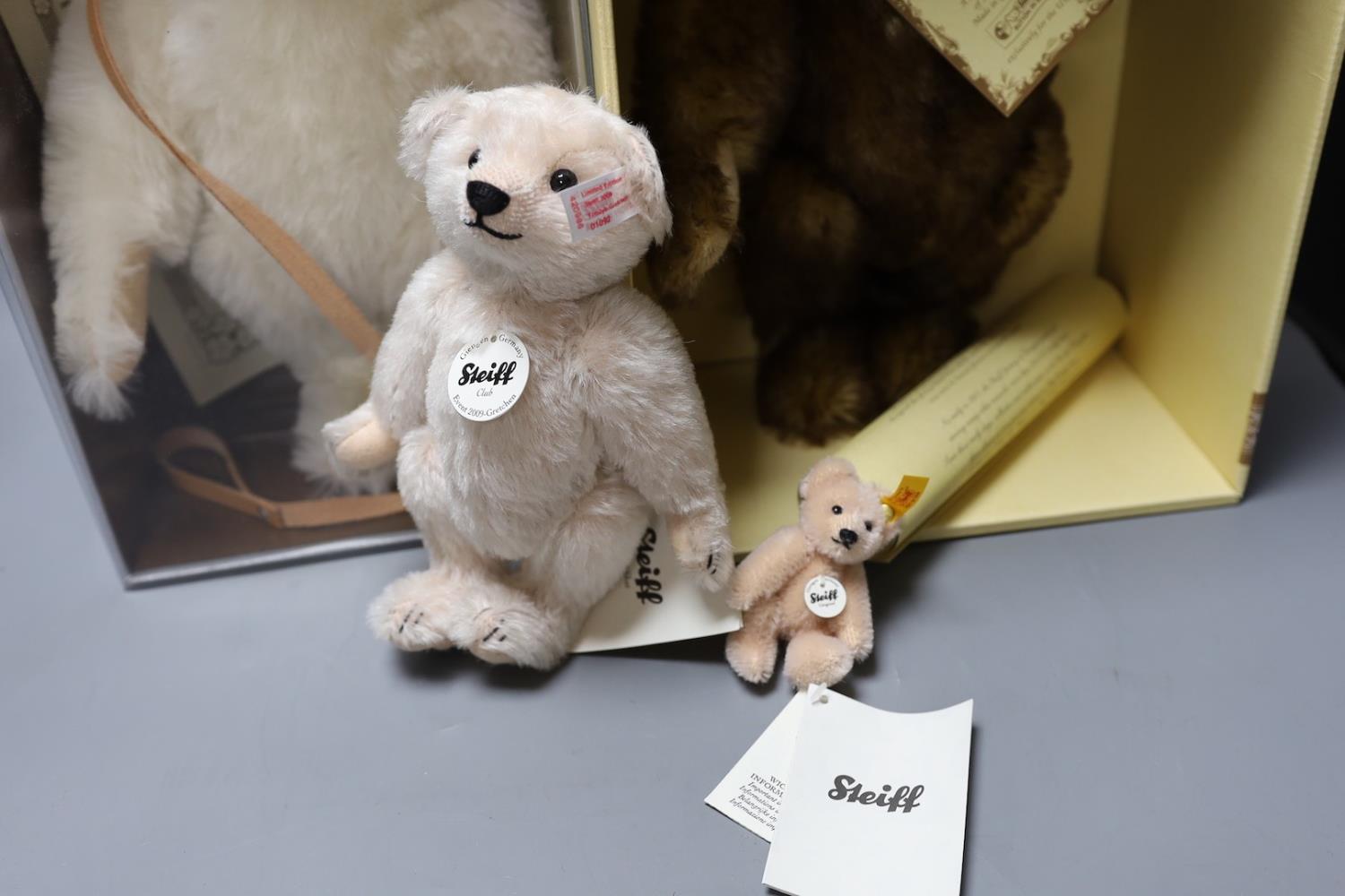 A white tag Steiff Muzzle teddy bear, 33cm, box/cert. with brown tipped British Collectors Bear, - Image 4 of 8