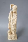 A Japanese carved walrus ivory figure of Fukurokuju, early 20th century,standing on the back of a