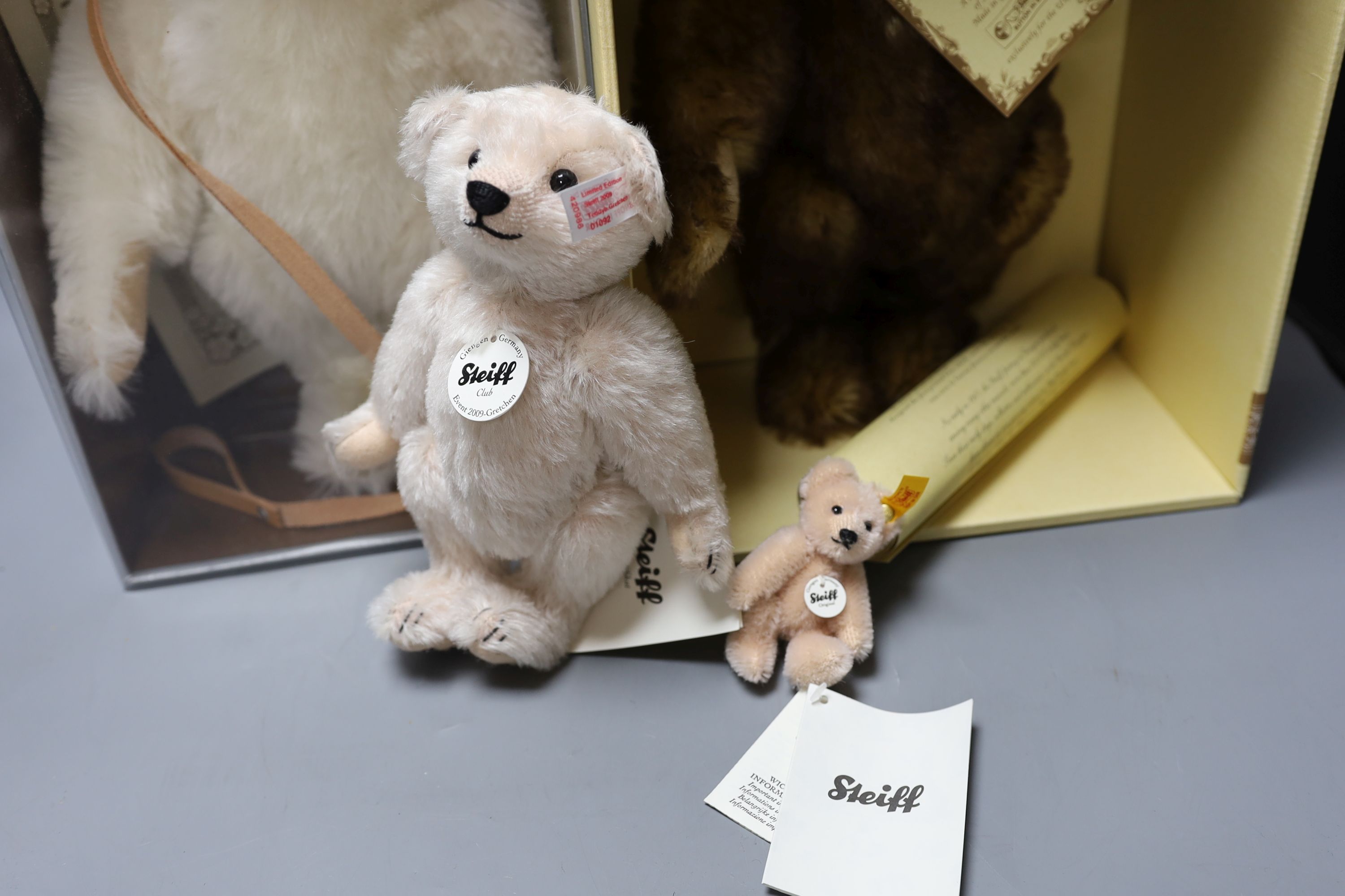 A white tag Steiff Muzzle teddy bear, 33cm, box/cert. with brown tipped British Collectors Bear, - Image 3 of 8