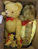 Five British Teddy Bears plus one Herman Bear