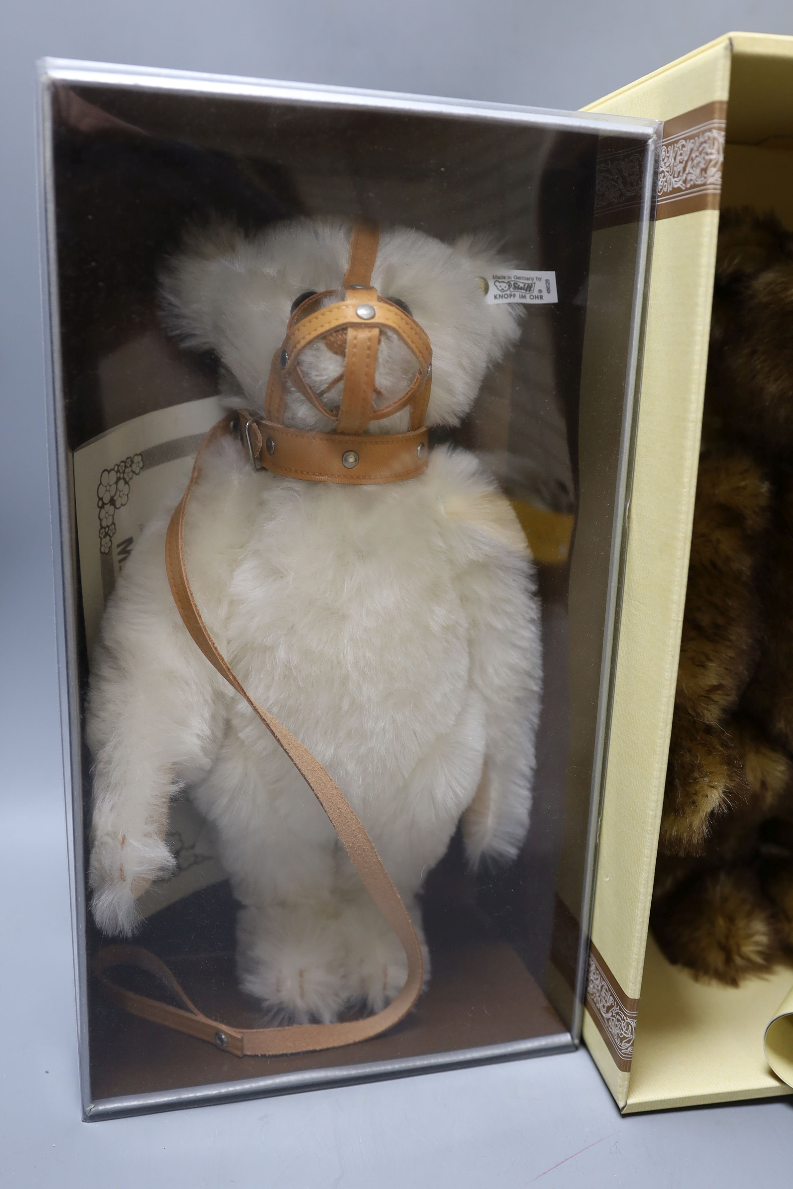 A white tag Steiff Muzzle teddy bear, 33cm, box/cert. with brown tipped British Collectors Bear, - Image 7 of 8