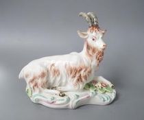 A rare Derby figure of a goat, naturalistically painted, recumbent on a scroll moulded base, c.