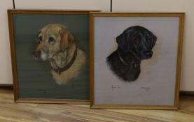 Marjorie Cox (1915-2003), two pastel portraits of dogs, 'Gemma, 1982' a black Labrador Retriever and