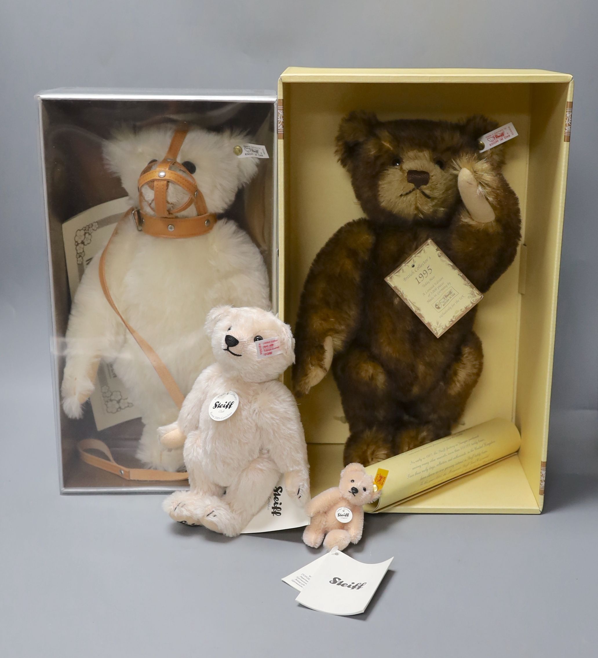A white tag Steiff Muzzle teddy bear, 33cm, box/cert. with brown tipped British Collectors Bear,