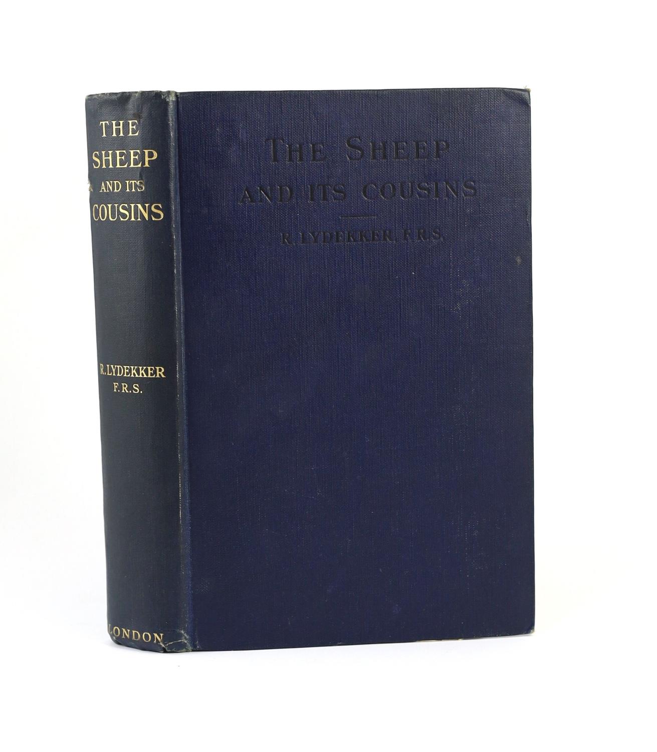 ° ° Lydekker, Richard. The Sheep and its Cousins. With 61 Illustrations. London, 1913. Original, - Image 4 of 4