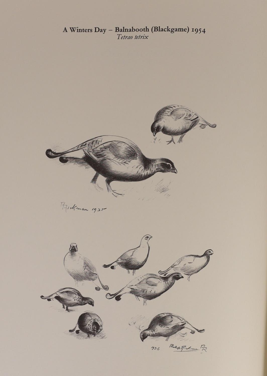 ° ° Rickman, Philip - A Selection of Bird Paintings and Sketches, one of 500 signed by the artist, - Image 4 of 11