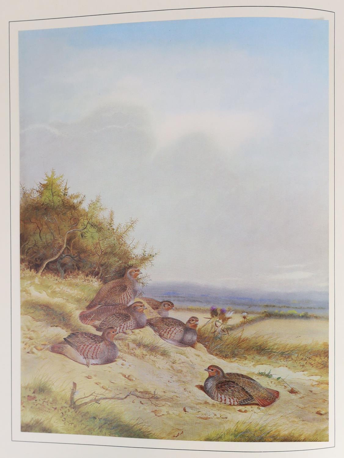 ° ° Rickman, Philip - A Selection of Bird Paintings and Sketches, one of 500 signed by the artist, - Image 2 of 11