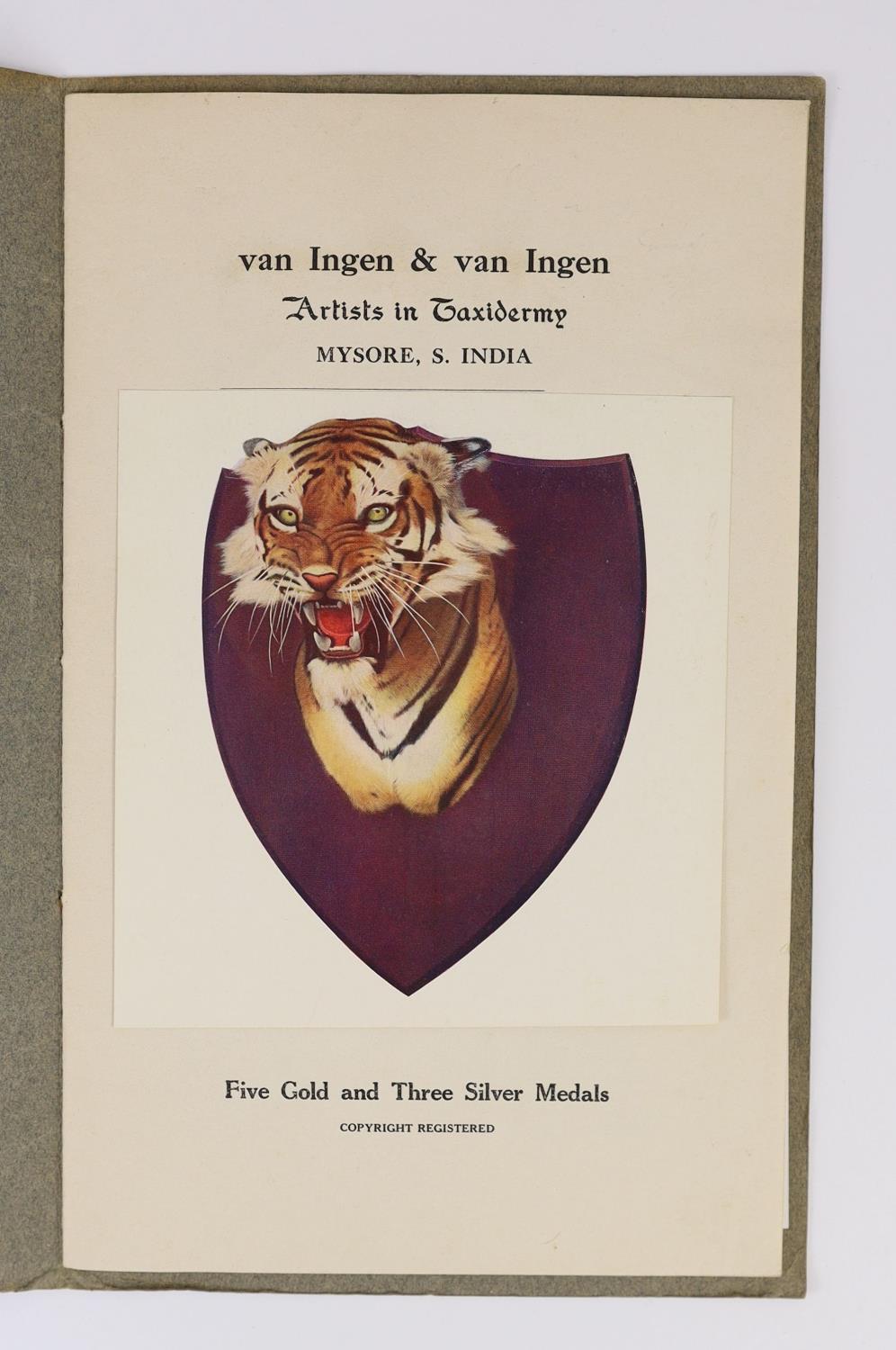 ° ° Van Ingen [Joubert] & van Ingen [Botha]. The Artistic Treatment of Shikar Trophies [By] van - Image 2 of 3