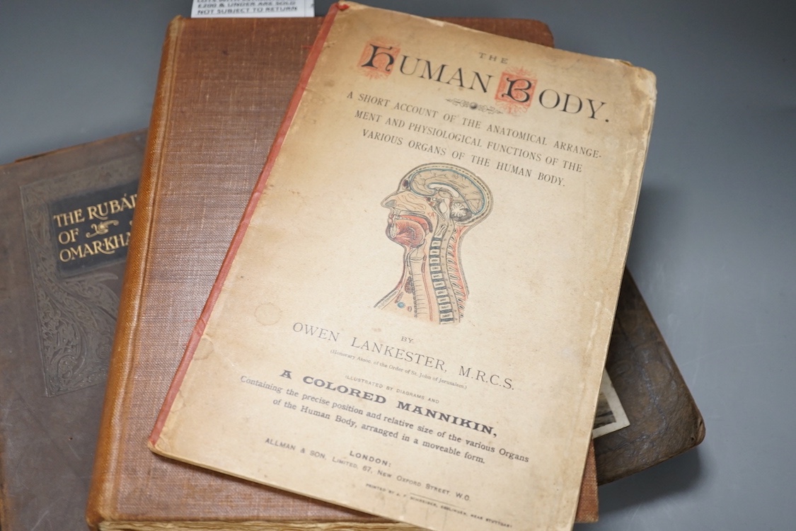 ° ° A coloured Mannikin Human Bodybook, Seven Pillars of Wisdom, Omarkhayam, 1930's International - Bild 3 aus 4