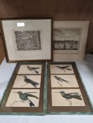 An early framed print, a Coromandel Coast print and two bird prints