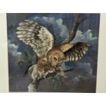 Marjorie Aman ?, gouache and watercolour, owl bearing prey, late 20th century, 43.5 x 49cm