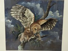 Marjorie Aman ?, gouache and watercolour, owl bearing prey, late 20th century, 43.5 x 49cm