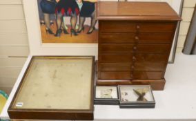 And early 20th century mahogany cabinet of UK moth and butterfly specimens, six trays together