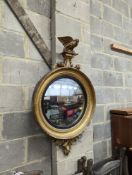 A Regency carved giltwood and gesso convex wall mirror, eagle surmount and ebonised slip, width