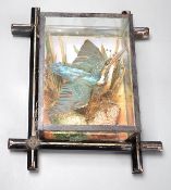 A Victorian taxidermy kingfisher in flight in wooden glazed case, attributed to W.B. Griggs of Manor