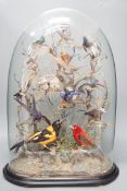 A 19th century display of taxidermic exotic birds including hummingbirds under a glass dome. 59cm