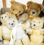 5 English Teddy bears, 1960’s, including Pedigree & Chiltern