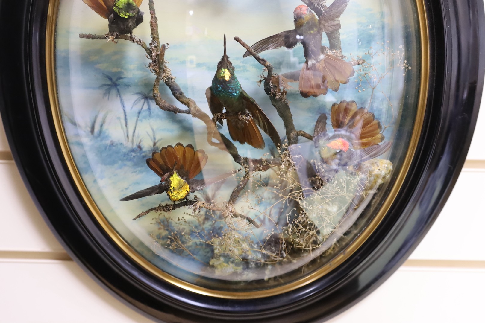 A Victorian taxidermic bouquet of humming birds in convex oval frame - approx 60cm high - Image 3 of 3