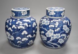 A pair of Chinese blue and white ginger jars and covers,22 cms high including cover.