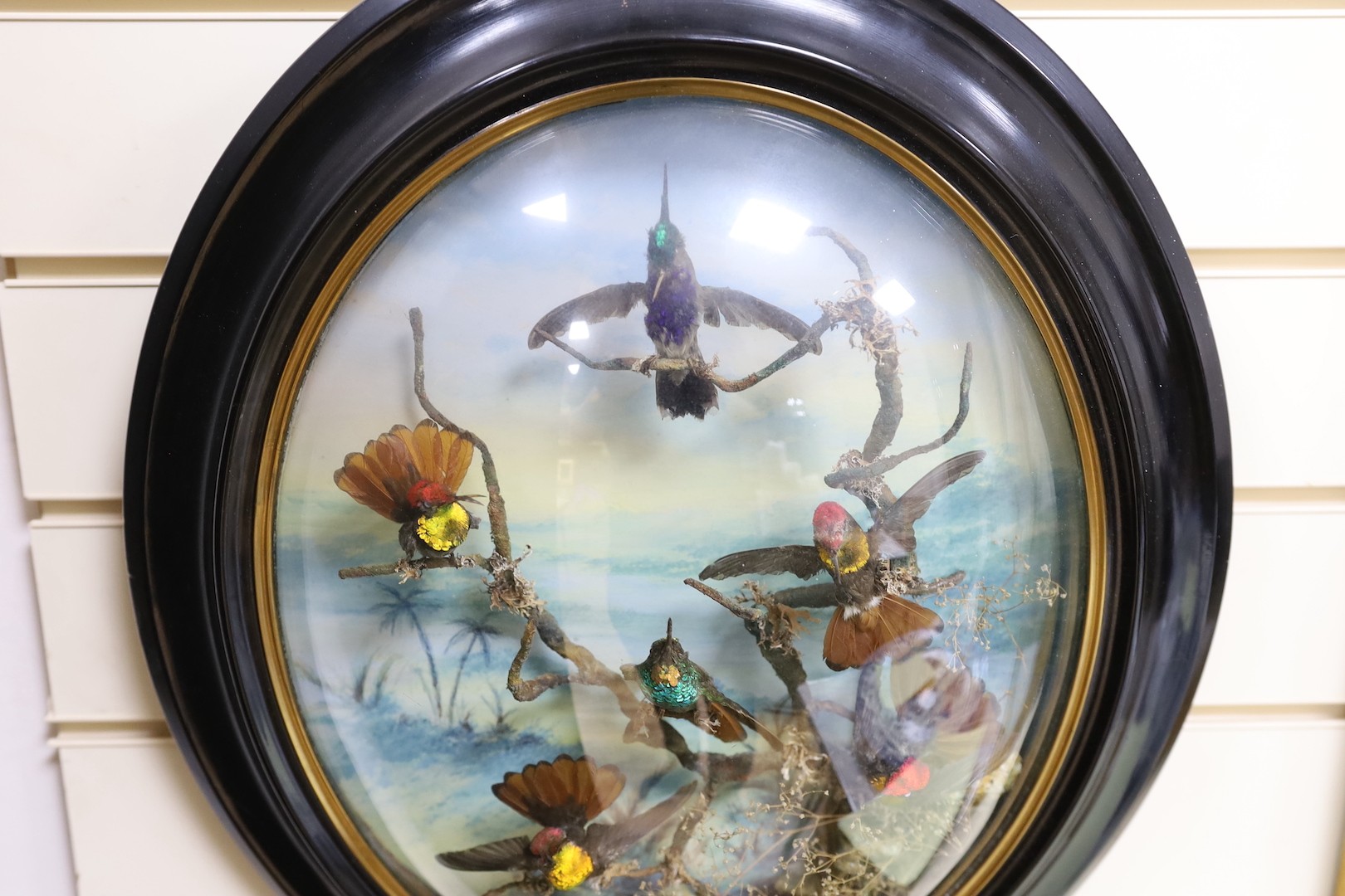 A Victorian taxidermic bouquet of humming birds in convex oval frame - approx 60cm high - Image 2 of 3