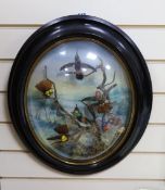 A Victorian taxidermic bouquet of humming birds in convex oval frame - approx 60cm high